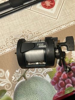 Saltwater reel