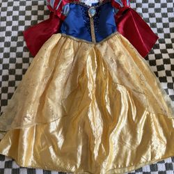Disney Costume