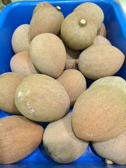 Pace  and  key west Mamey, Zapote Fruit