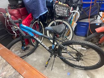 Adult mountain bike