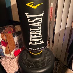 Ever Lasting Punching Bag