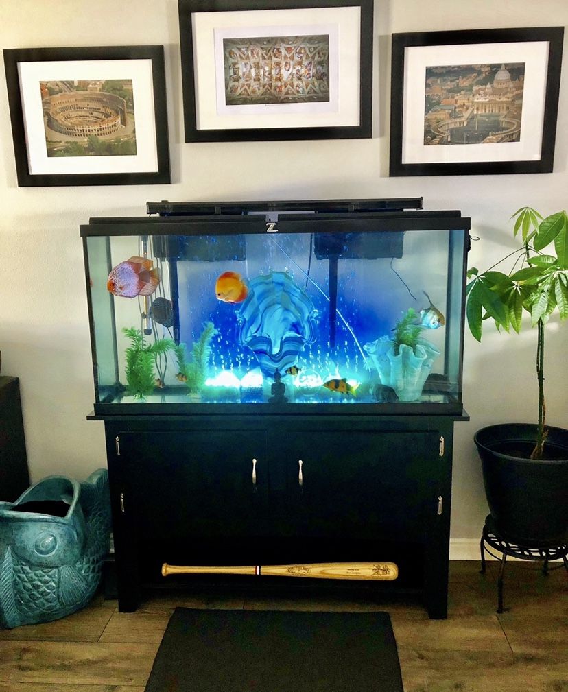 65 gal tank with fish, supplies ect..