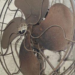 Fan 