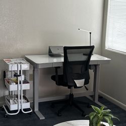 Electric Stand/Sit Desk w/chair 