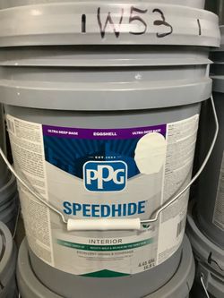 Interior Paint (Gypsum White)
