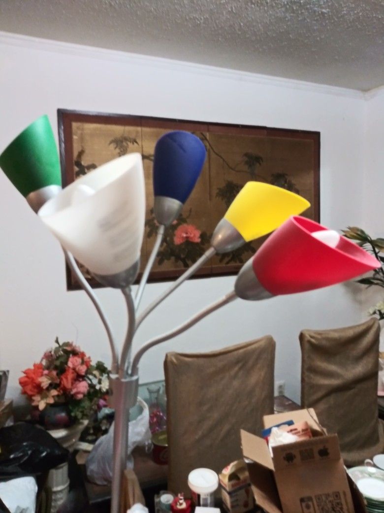 Beautiful Multicolor Standing Lamp