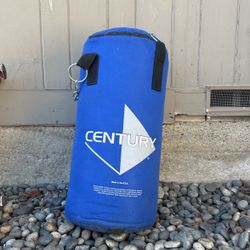 Century Punching Bag (hanging)