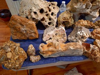 Monster Hardscape Lot