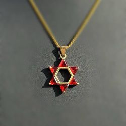 Jewelry 14k solid yellow gold Star of David ✡️ red agate 3.00CTW Pendant charm