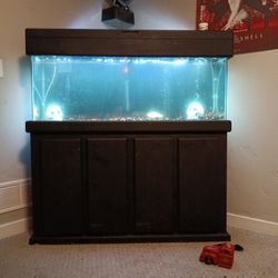 50 Gallon Fish Tank 