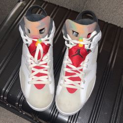 Jordan ‘Hare’ 6s 