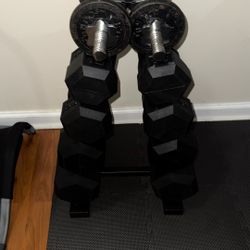 Dumbbell Set