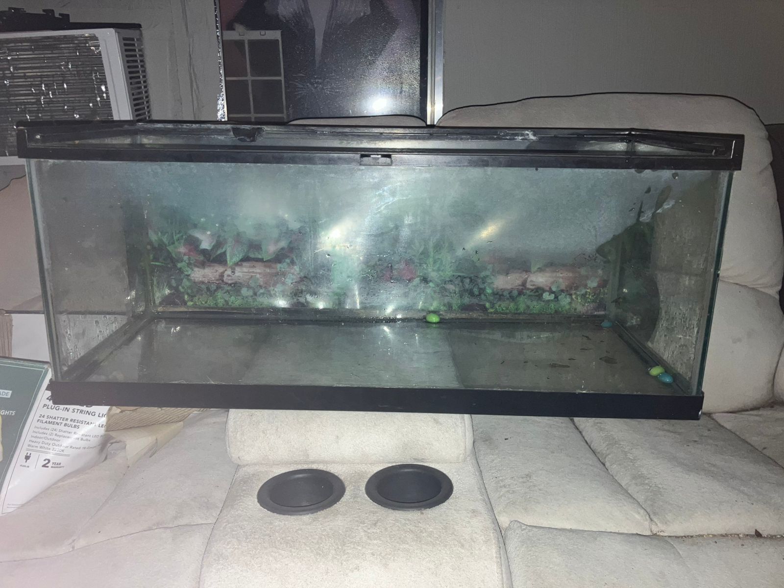 30 Gallon Fish Tank