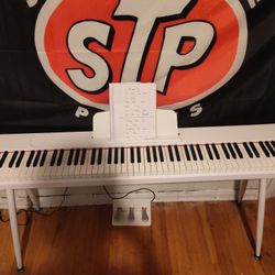 Professional/ Beginners Piano 