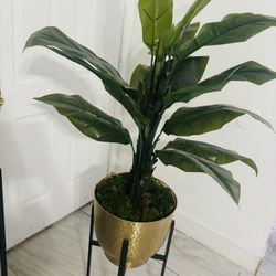 Fake Plant 