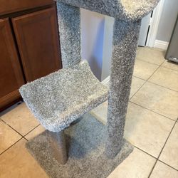 Brand New Cat Tree