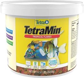 TetraMin Tropical Flakes 4.52 Pounds, Nutritionally Balanced Diet.
