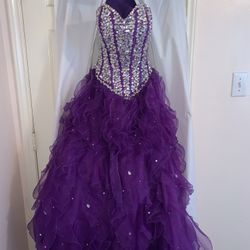 Quinceanera Dress Purple