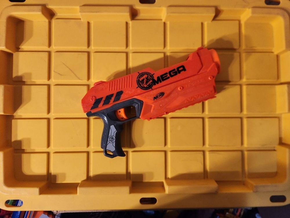 Nerf Magnus