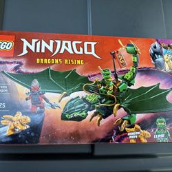 Lego Ninjago Dragons Rising