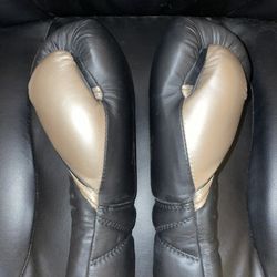 Fly Boxing Gloves New W/ Box 