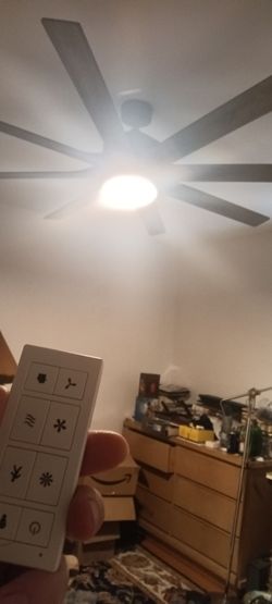 Ceiling fan with light and remote