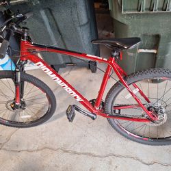 Diamondback Mountain Bike