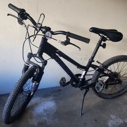 Trek Mountain Bike 20"