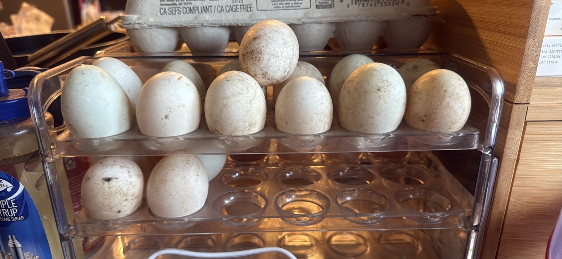 Duck Eggs