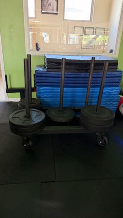 Crossfit bumper plate rolling storage