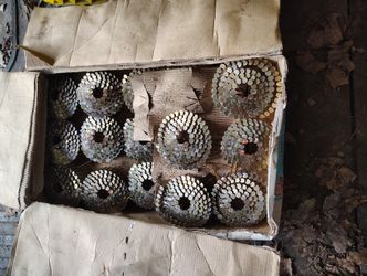 Coil Nail