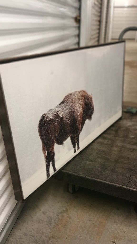bison canvas portrait art Work 24 by 16