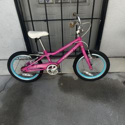 Guardian 16” Girls Bike