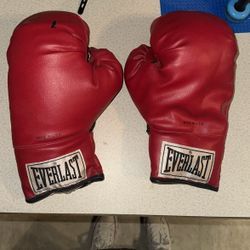 Everlast Boxing Gloves 