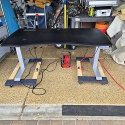 Standing Desk with 2 Office Chairs