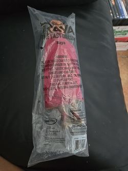 Disney Raya and The Last Dragon Raya Doll 