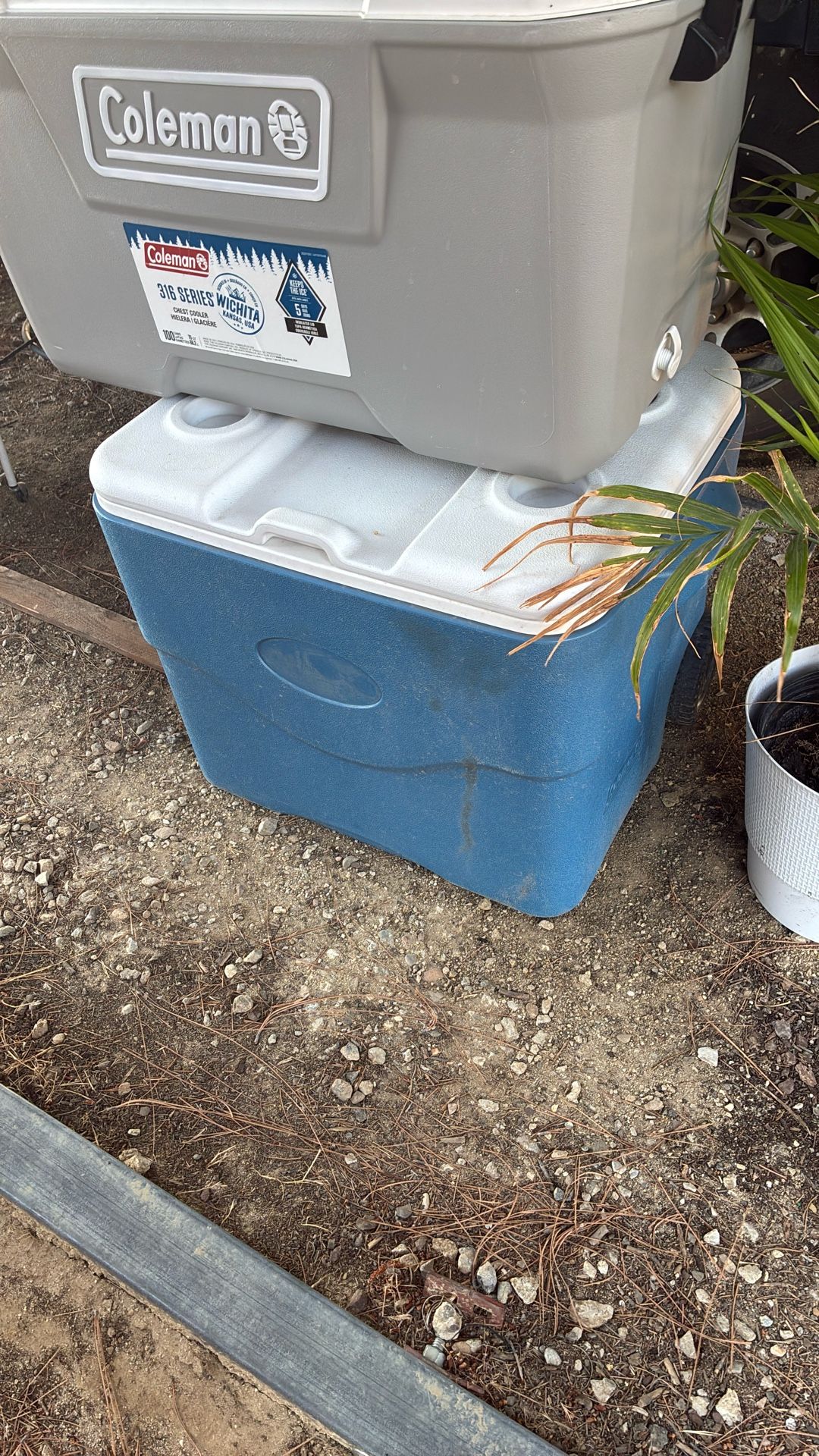 Used Coleman cooler