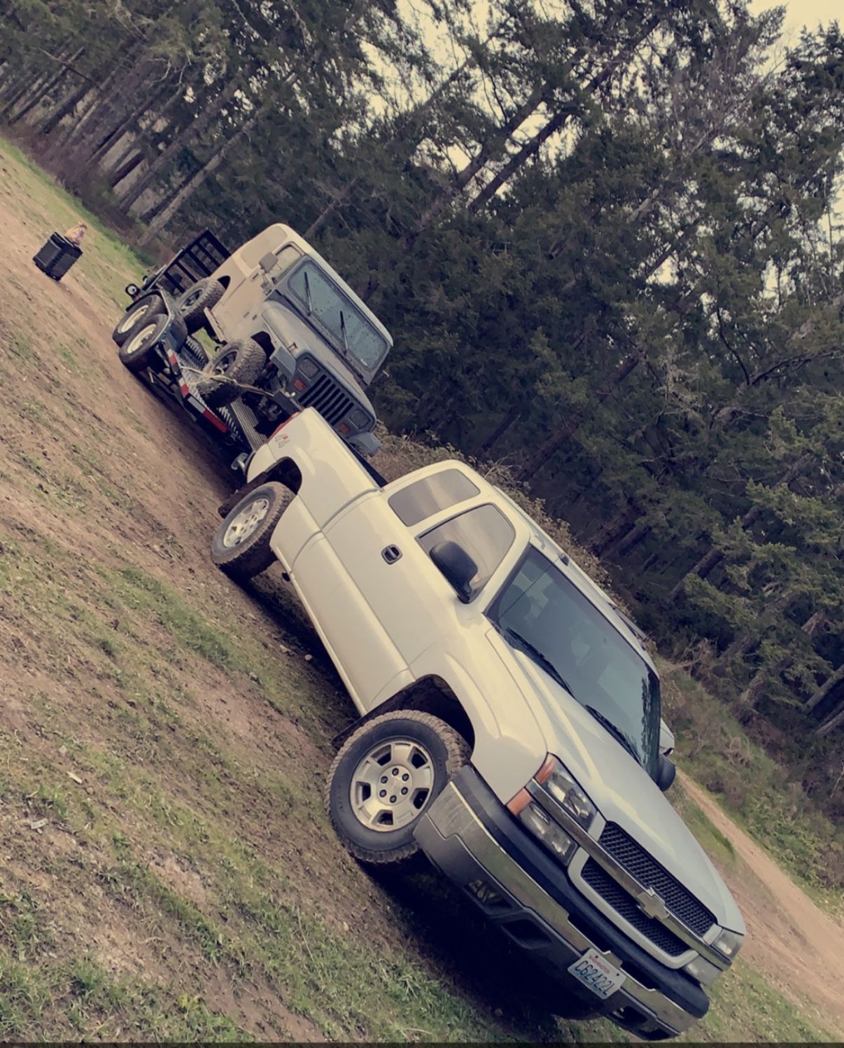 2004 Chevrolet Silverado 1500