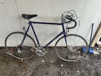 Bicicleta Azul