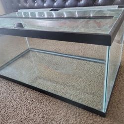 Fish Tank and Supplies 