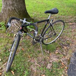  Caliente Schwinn Bicycle