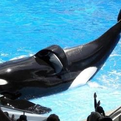 Seaworld tickets/boletos