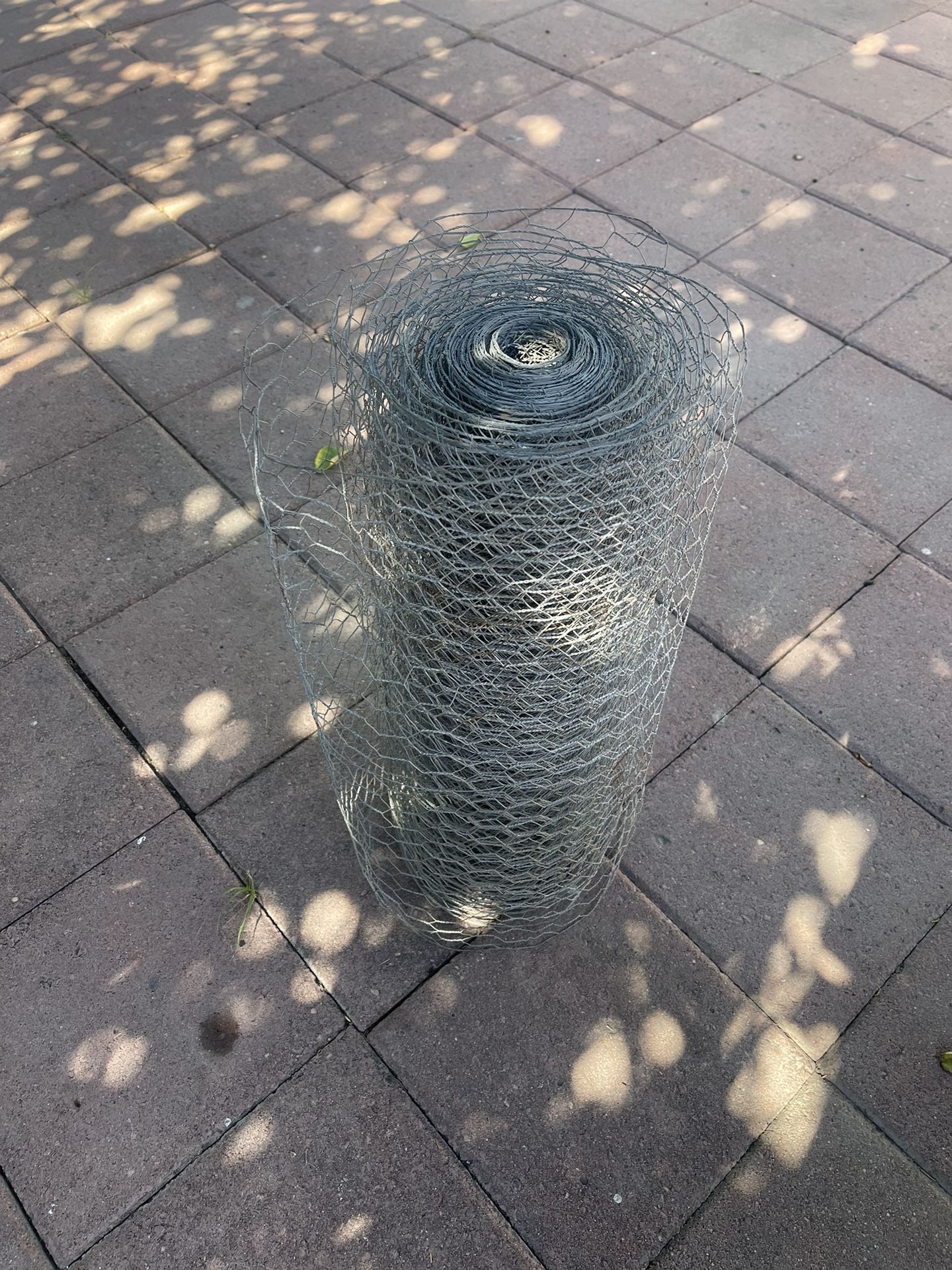 Chicken Wire