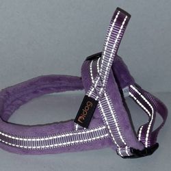 Reflective harness size XS
