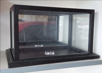 X2 Black Glass Memorbilia Case