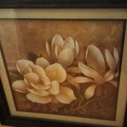 33 In X 34 In 