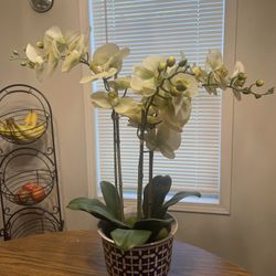 Artificial Orchid