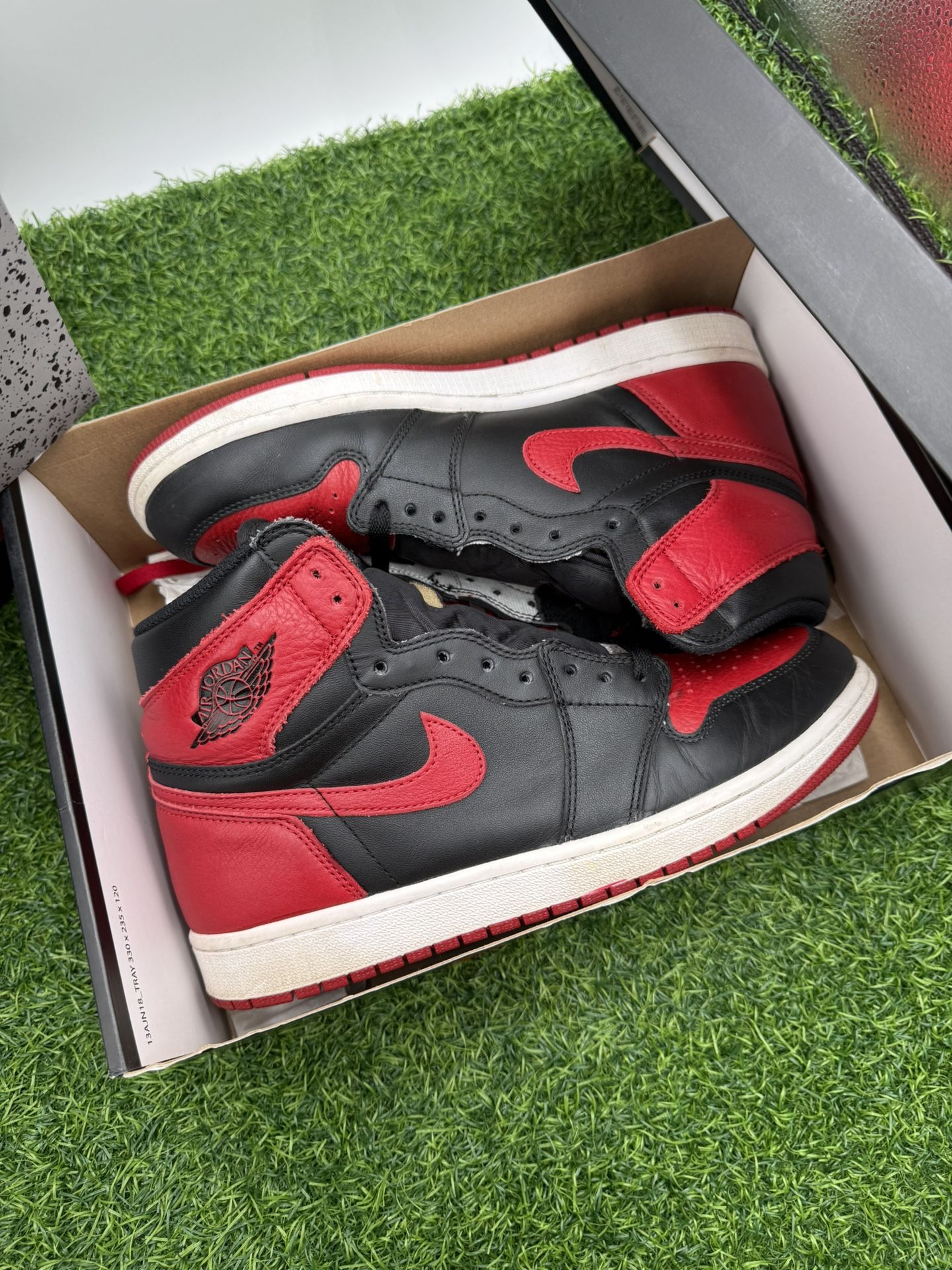 Jordan 1 “Banned Bred” Size 10 (2016)