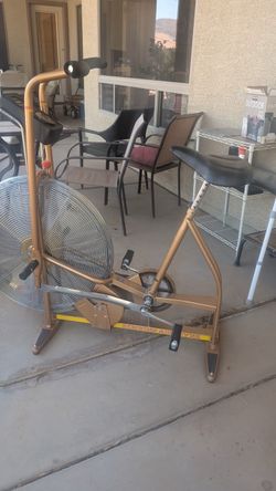 Schwinn Air Dyne Exercise Bike