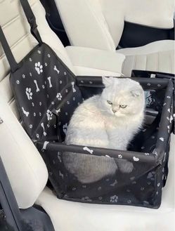 Pet car seat, harness and leash